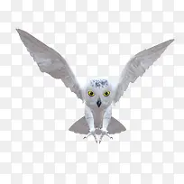 素描-空若网 素描-空若网