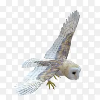 手绘素材卡通图片-空若网 手绘素材卡通图片-空若网