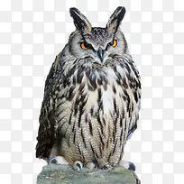 素描-空若网 素描-空若网