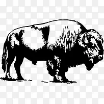 ��ţʸ���زĶ����ֻ�-������