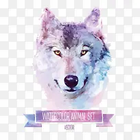 可爱的水彩动物矢量素材-空若网 可爱的水彩动物矢量素材-空若网