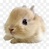 �����Ӱ�ֻ涯�� ����-������