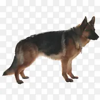 ¿¨Í¨Ëز͝ÎïËØ²Ä-¿ÕÈôÍø ¿¨Í¨Ëز͝ÎïËØ²Ä-¿ÕÈôÍø