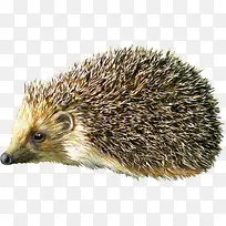 ����ͼƬ�����ز�-������