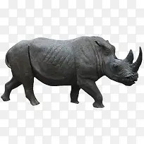 动物图片素材手绘动物-空若网 动物图片素材手绘动物-空若网