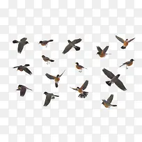 动物矢量图手绘图片-空若网 动物矢量图手绘图片-空若网