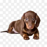 ��ͨ����ͼƬ����ͼ��-������