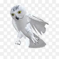 手绘动物动物图案-空若网 手绘动物动物图案-空若网