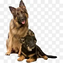 动物卡通动物-空若网 动物卡通动物-空若网