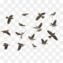 �ֻ涯���زĿ�ͨ�ز�-������