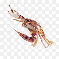 卡通螃蟹素材-空若网 卡通螃蟹素材-空若网