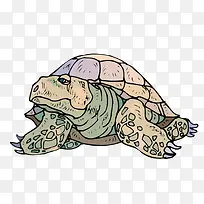 ʸ�������ز�-������