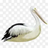 ��ͨ�����ز��ֻ涯���ز�-������