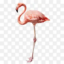 ��ͨ����Ԫ�س���Ԫ��-������