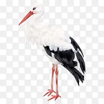 �����زĿ�ͨ����ͼƬ-������