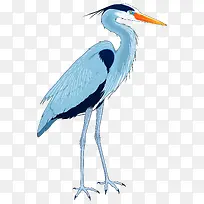 ��ͨ����Ԫ���ֻ涯���ز�-������