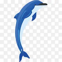 海豚png矢量素材-空若网 海豚png矢量素材-空若网