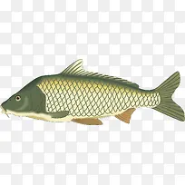 ��������ʸ���ز��������-������