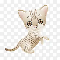 �ֻ濨ͨ����Сè�ز�-������