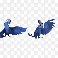 �����ز�-������