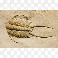 ¶¯Îﻯʯ-¿ÕÈôÍø ¶¯Îﻯʯ-¿ÕÈôÍø