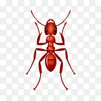 昆虫设计矢量素材-空若网 昆虫设计矢量素材-空若网