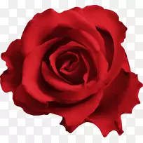 �����������Ӱ.Dussehra-������