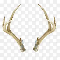 水彩鹿角-空若网 水彩鹿角-空若网