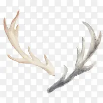 手绘水彩鹿角-空若网 手绘水彩鹿角-空若网