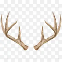 �ֻ�¹��-������