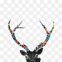 创意彩色鹿角-空若网 创意彩色鹿角-空若网