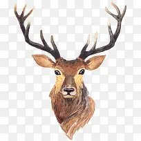 麋鹿-空若网 麋鹿-空若网