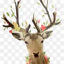 ÷��¹ˮ��-������