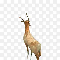 �ֻ��ɫˮ��÷��¹-������