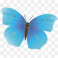 À¶É«ºûµû-¿ÕÈôÍø À¶É«ºûµû-¿ÕÈôÍø