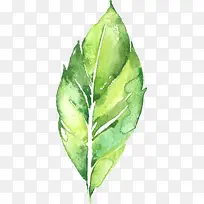 花卉图案花卉图案素材-空若网 花卉图案花卉图案素材-空若网