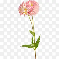 ��������زĻ��ݱ����ز�-������