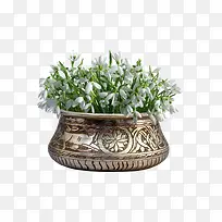 ps花草素材花卉图案素材-空若网 ps花草素材花卉图案素材-空若网