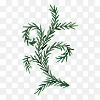 线描花卉庆典花卉-空若网 线描花卉庆典花卉-空若网