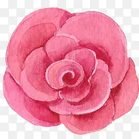 绿植花卉花卉设计素材-空若网 绿植花卉花卉设计素材-空若网