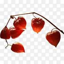 ���ܱ����زĻ���ps�ز�-������