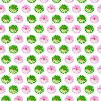 彩色花朵-空若网 彩色花朵-空若网