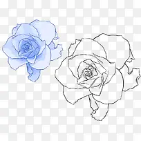 手绘月季-空若网 手绘月季-空若网