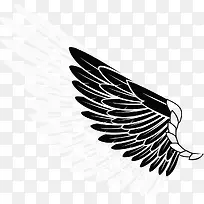 ��ɫ����ֻ���Ϧ���˽�-������