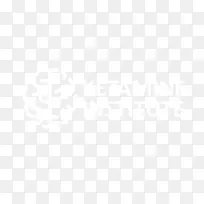 联合国大学计算机与社会学会电子邮件商务计算机软件公司-横线-空若网 联合国大学计算机与社会学会电子邮件商务计算机软件公司-横线-空若网