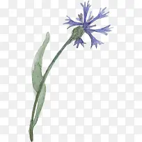 蓝色水彩花卉-空若网 蓝色水彩花卉-空若网