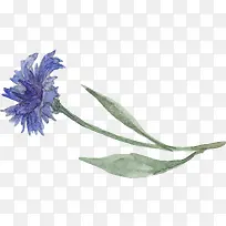 À¶É«Ë®²Ê»¨»Ü-¿ÕÈôÍø À¶É«Ë®²Ê»¨»Ü-¿ÕÈôÍø