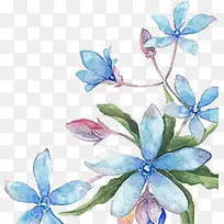 插画效果蓝色花朵-空若网 插画效果蓝色花朵-空若网