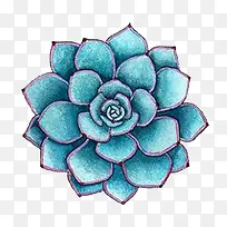 蓝色花朵手绘插画-空若网 蓝色花朵手绘插画-空若网