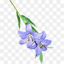 ��ɫ����ʱ�л���װ��-������